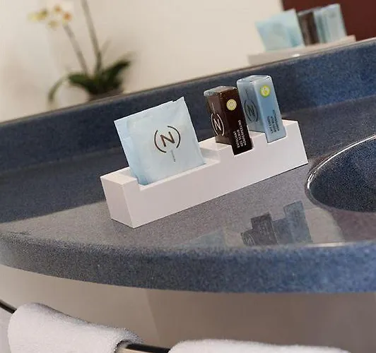 Paris Grand Cdg Aeroport 4 Etoiles 4*