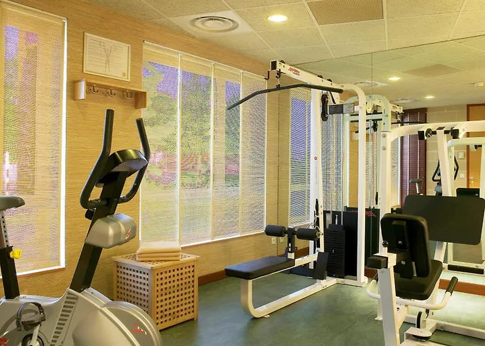 Paris Grand Cdg Aeroport 4 Etoiles Hotel 4*